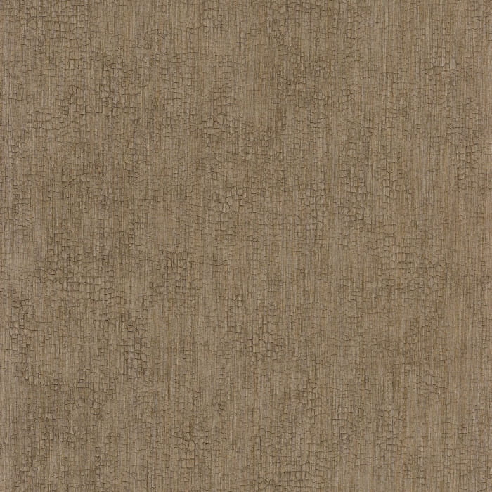 73720426.jpg