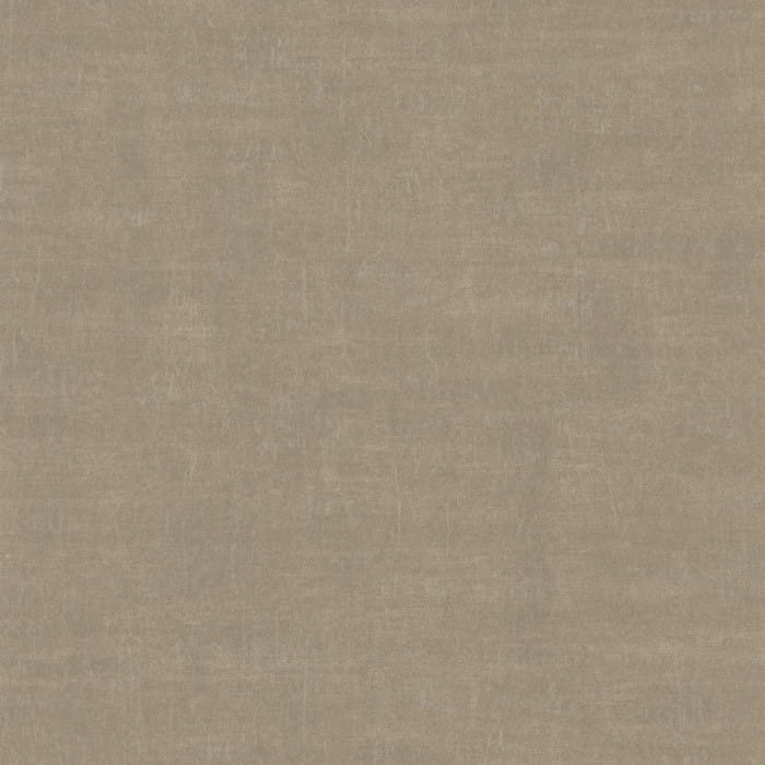 73230567.jpg