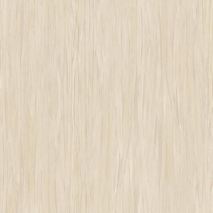 9660517.jpg