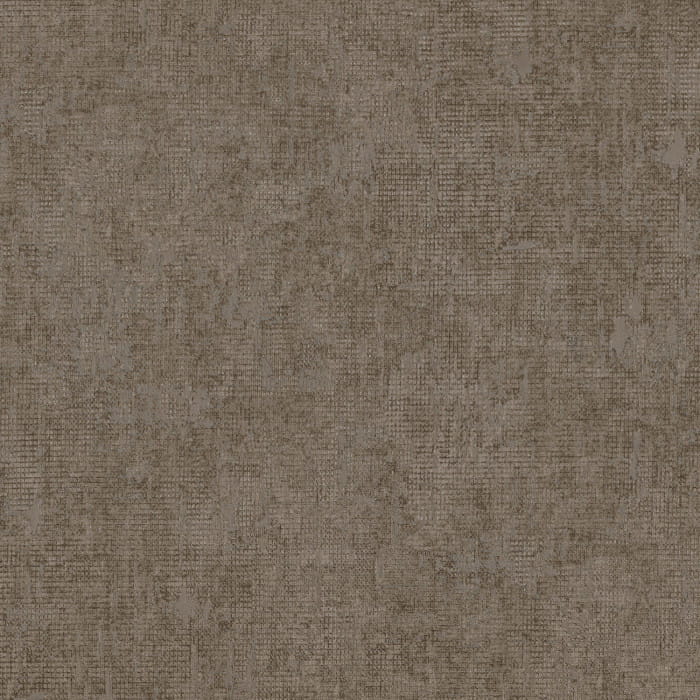 73441529.jpg