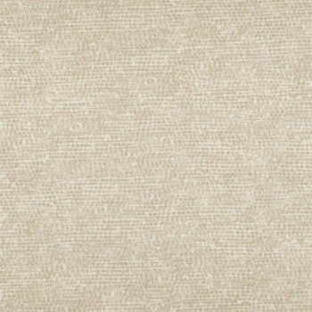 73410252.jpg