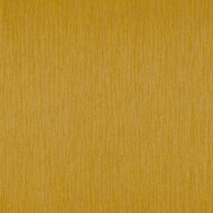 73381426.jpg