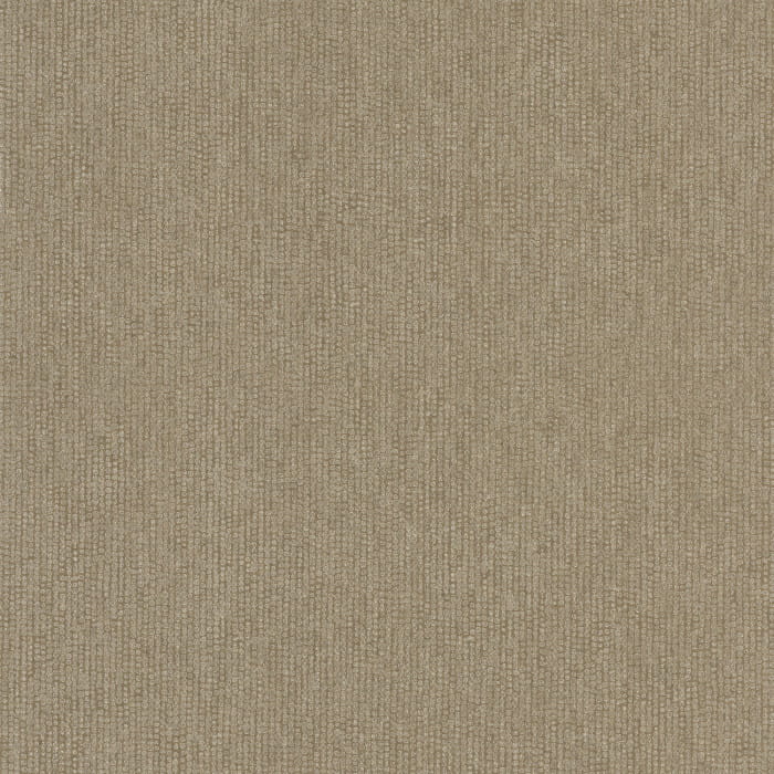 73240381.jpg