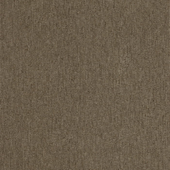 73240475.jpg