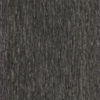 73791258.jpg