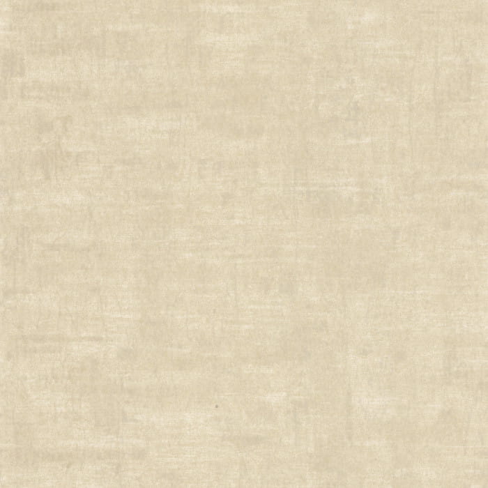 73230419.jpg