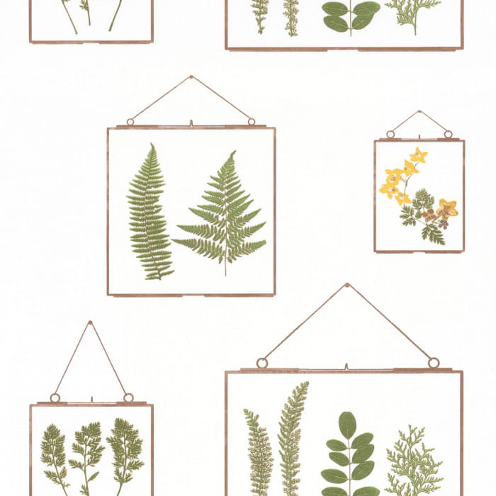 100637070.jpg