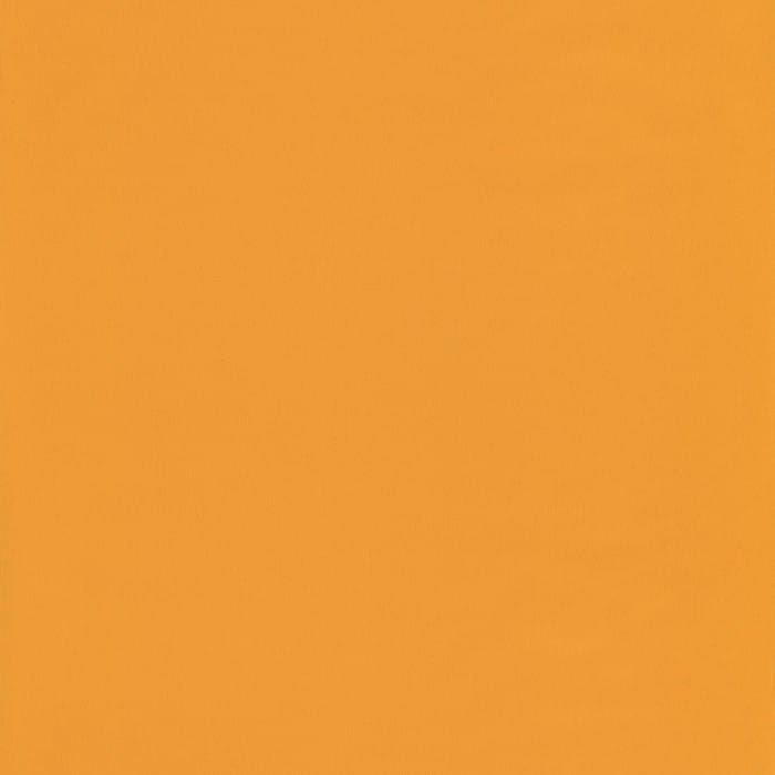 69862734.jpg