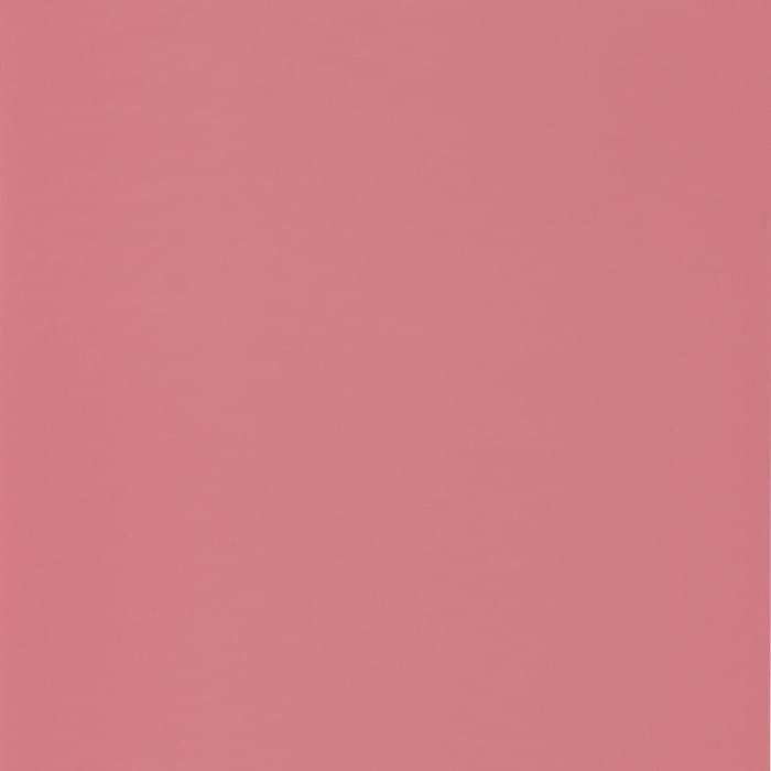 69864600.jpg
