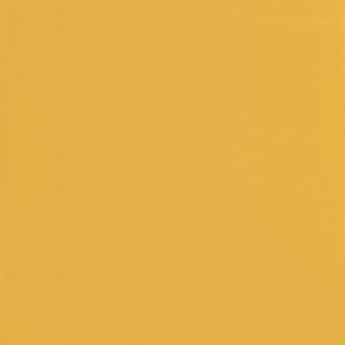 69862202.jpg