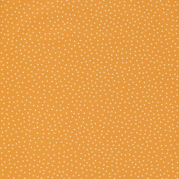69722312.jpg
