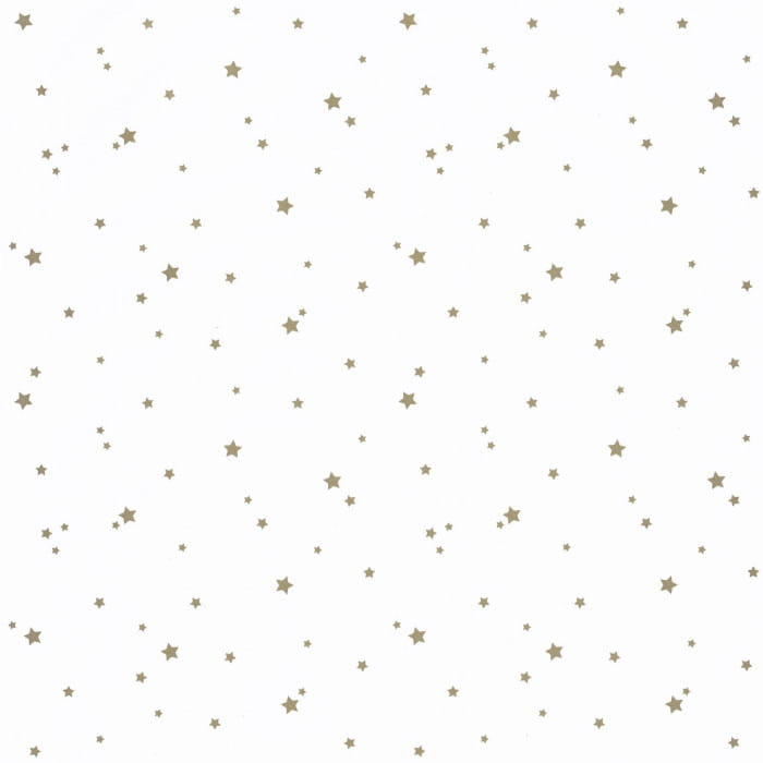 100802222.jpg