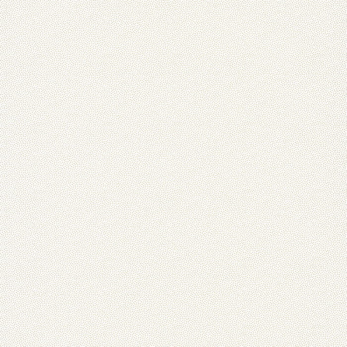 100400011.jpg