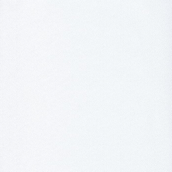 100400101.jpg