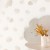 gpr-head-in-the-clouds-zoom.jpg