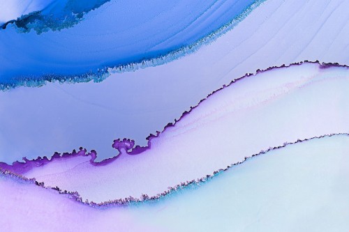 bd87c03e0894fdc8b91c36e242710447