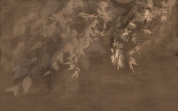2875fd2119180119a327820d1769c9e0