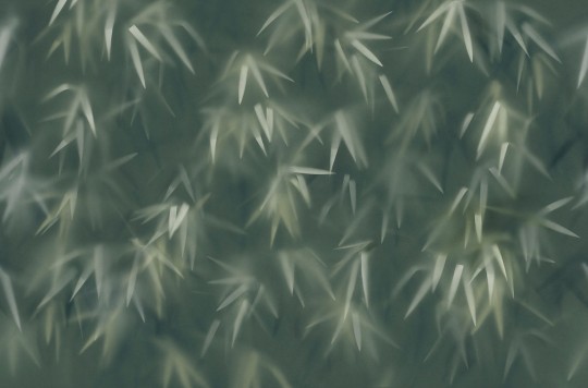 Tecnografica Decoratives Haze Green - mural z motywem cieni liści