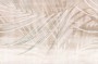 cd7f9009530b3b7e7e5a1b2bb250fba5