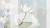 c7225d9101cb8ccb1ba66e19c8bf39ea