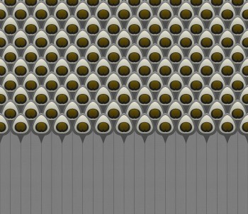 5c51cb4815cb7545ac9fc1d42e1ea62e
