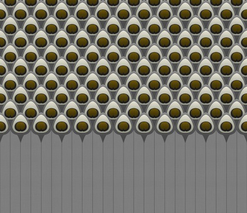 5c51cb4815cb7545ac9fc1d42e1ea62e