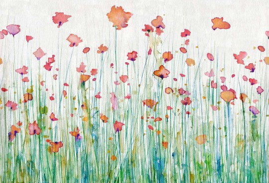 Tecnografica Art Collections Marco Fontana: Campo Dei Fiori Rosso - mural z motywem łąki kwiatów