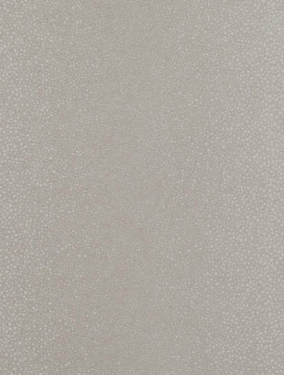 Tapeta Zinc 104-01 Shagreen Wallcovering  Moonbeam
