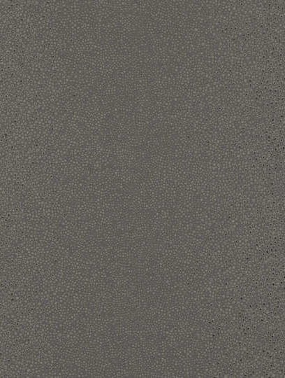 Tapeta Zinc 104-05 Shagreen Wallcovering mercury