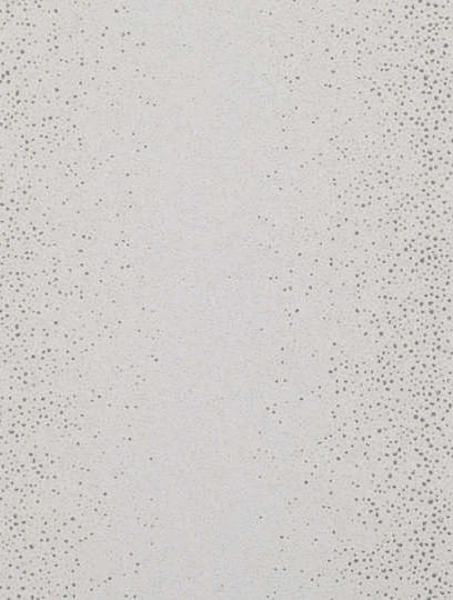 Tapeta Zinc 104-06 Shagreen Wallcovering frost