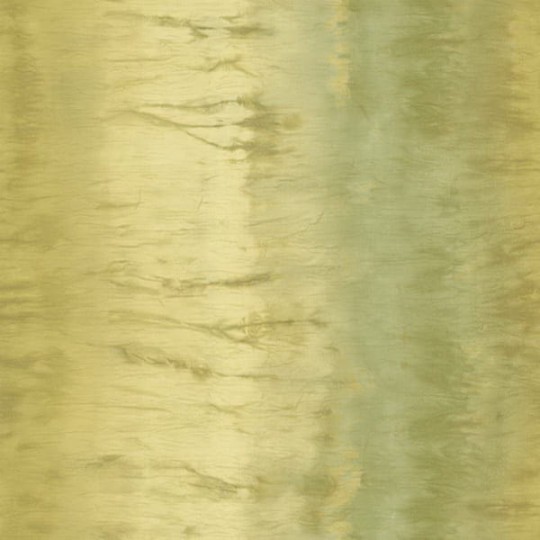 Tapeta Wallquest - Carl Robinson 2 - CB24404
