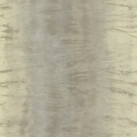 Tapeta Wallquest - Carl Robinson 2 - CB24408