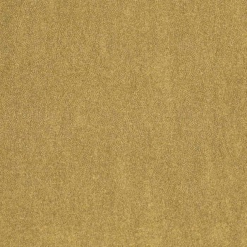 72470534.jpg