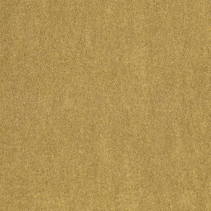 72470534.jpg