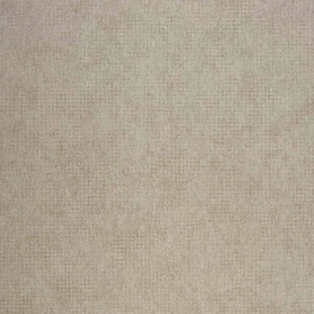 72890356.jpg