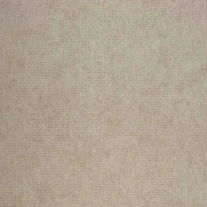 72890356.jpg
