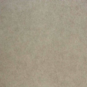 72890483.jpg