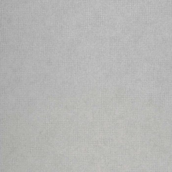 72890527.jpg