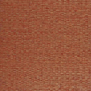 72540513.jpg