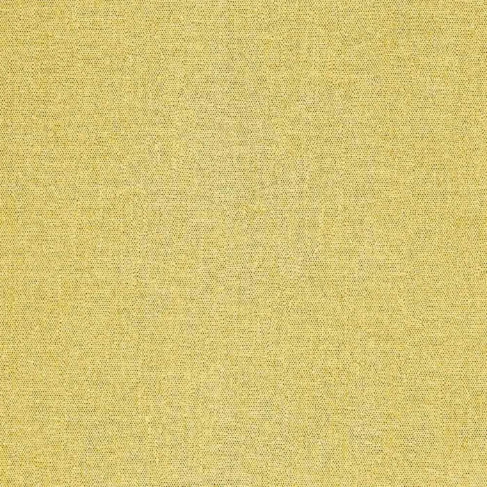 72481138.jpg