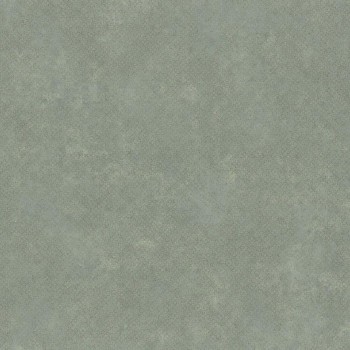 73170243.jpg