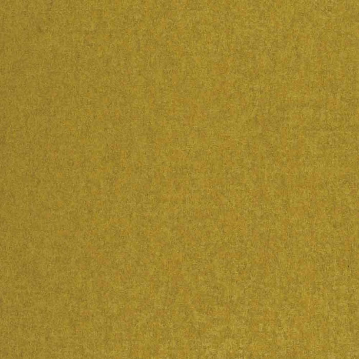 72520841.jpg
