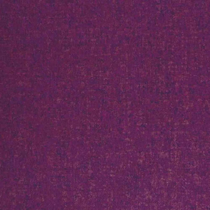 72530697.jpg
