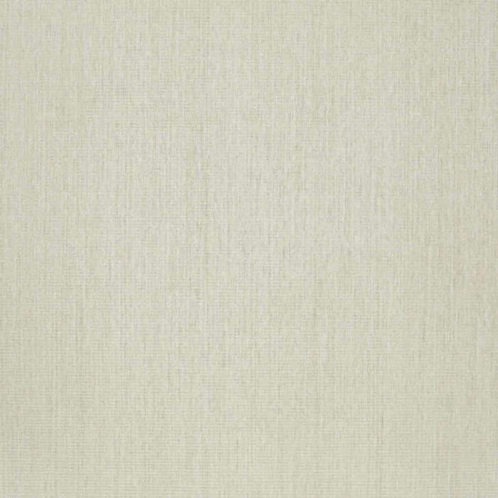 72990196.jpg