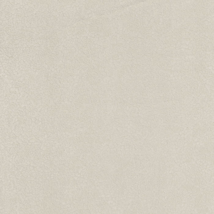 72350165.jpg