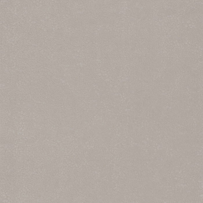 72350247.jpg