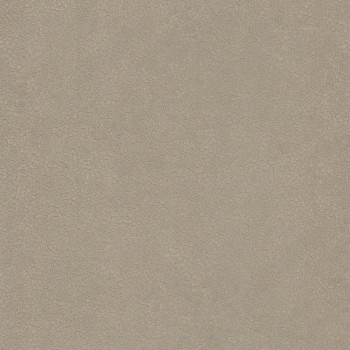 72350335.jpg
