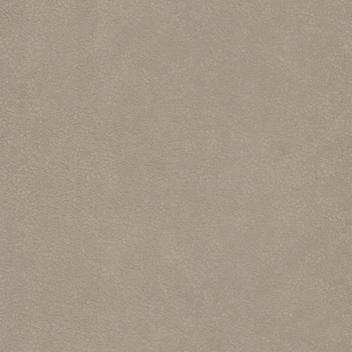 72350335.jpg