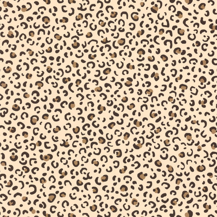 104451216.jpg