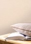 lne-beige-dore-103231023.jpg